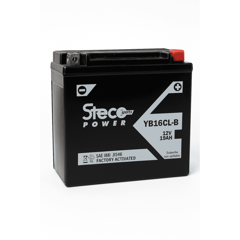 Batteries demarrage 12V, 19Ah, 256A EN, dim. 175x100x175 mm, borne positive a droite, Standard, acide/plomb, STECO POWER