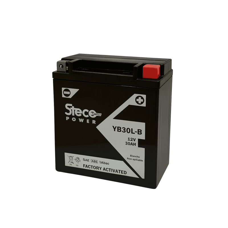 Batteries demarrage 12V, 30Ah, 320A EN, dim. 168x132x176 mm, borne positive a droite, pack acide, acide/plomb, STECO POWER