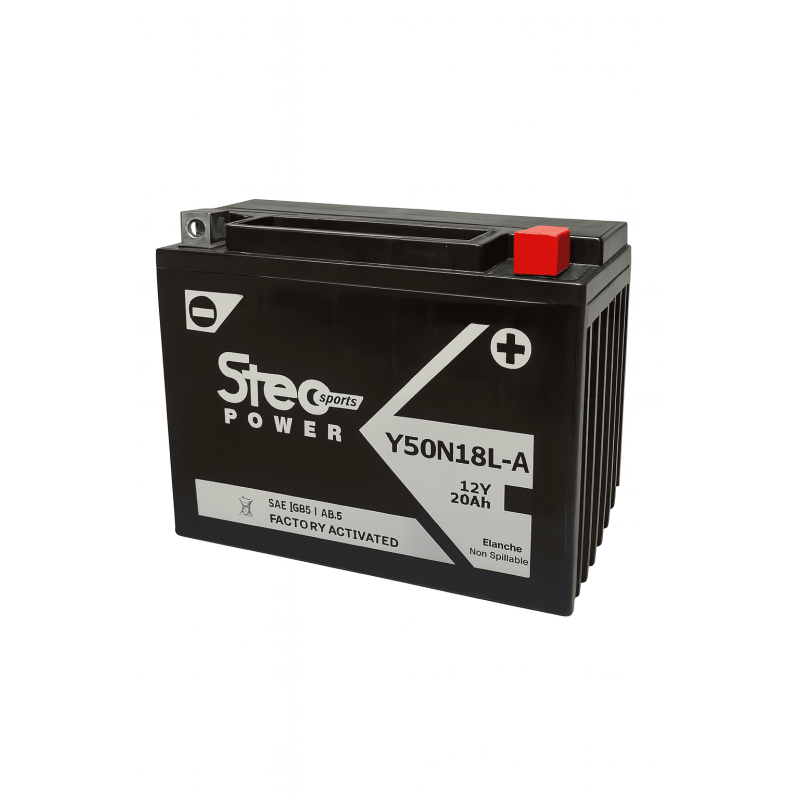 Batteries demarrage 12V, 20Ah, 260A EN, dim. 206x92x160 mm, borne positive a droite, Standard, acide/plomb, STECO POWER