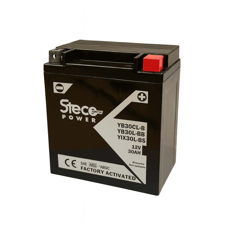 Batteries demarrage 12V, 30Ah, 585A EN, dim. 166x131x176 mm, borne positive a droite, gel, acide/plomb gel, STECO POWER