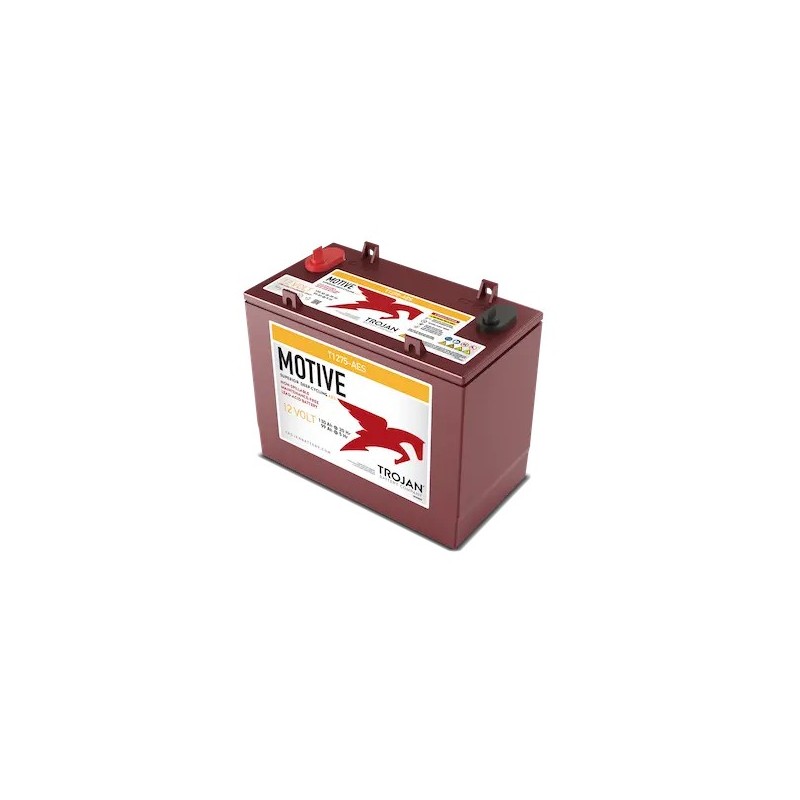 Batteries alimentation 12V, 130Ah, dim. 329x179x278 mm, borne positive a droite, AGM, acide/plomb, TROJAN