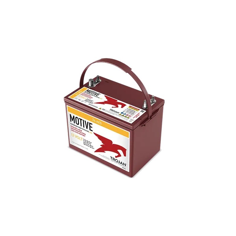 Batteries alimentation 12V, 76Ah, dim. 274x174x219 mm, borne positive a droite, AGM, acide/plomb, TROJAN