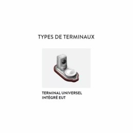 Batteries alimentation 6V, 315Ah, dim. 312x174x366 mm, bornes en diagonale, Standard, acide/plomb, TROJAN