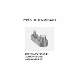 Batteries alimentation 6V, 435Ah, dim. 296x176x425 mm, bornes en diagonale, Standard, acide/plomb, TROJAN