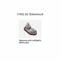 Batteries alimentation 6V, 215Ah, dim. 262x181x281 mm, bornes en diagonale, Standard, acide/plomb, TROJAN