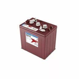 Batteries alimentation 6V, 225Ah, dim. 262x181x281 mm, bornes en diagonale, avec entretien, acide/plomb, TROJAN