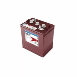 Batteries alimentation 6V, 260Ah, dim. 262x181x292 mm, bornes en diagonale, avec entretien, acide/plomb, TROJAN