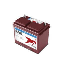 Batteries demarrage 12V, 85Ah, dim. 277x168x235 mm, borne positive a gauche, Standard, acide/plomb, TROJAN