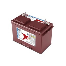 Batteries alimentation 12V, 115Ah, dim. 326x168x235 mm, borne positive a gauche, Standard, acide/plomb, TROJAN
