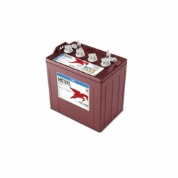 Batteries alimentation 8V, 190Ah, dim. 259x179x283 mm, borne positive a droite, avec entretien, acide/plomb, TROJAN